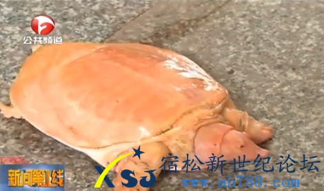QQ截图20130502114932.jpg