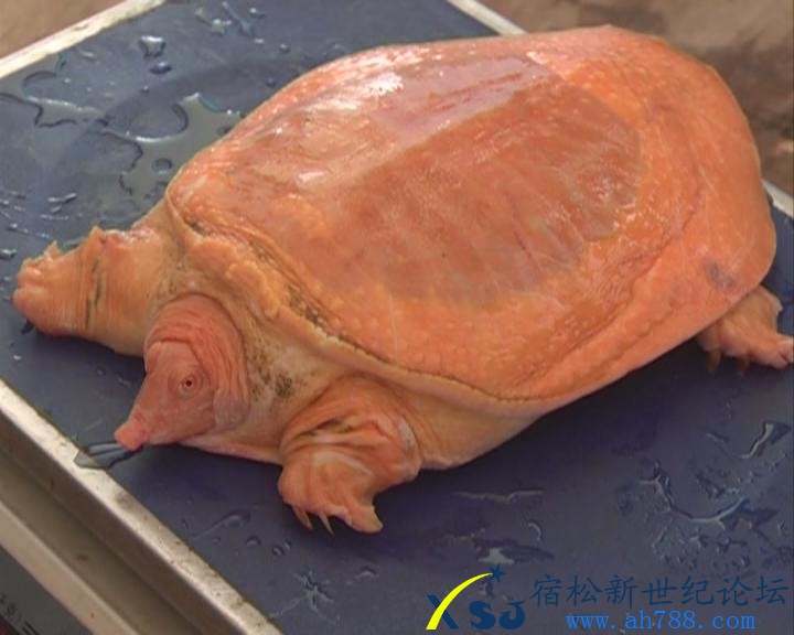 暴风截图201352307875.jpg