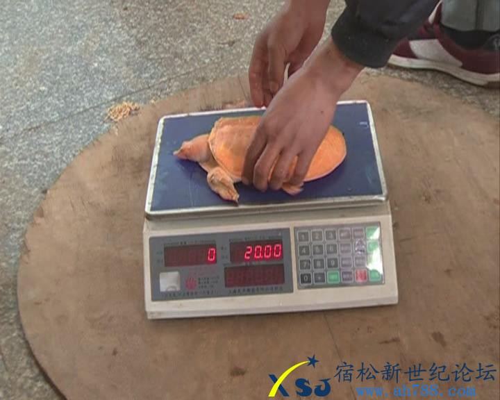 暴风截图201352315812.jpg