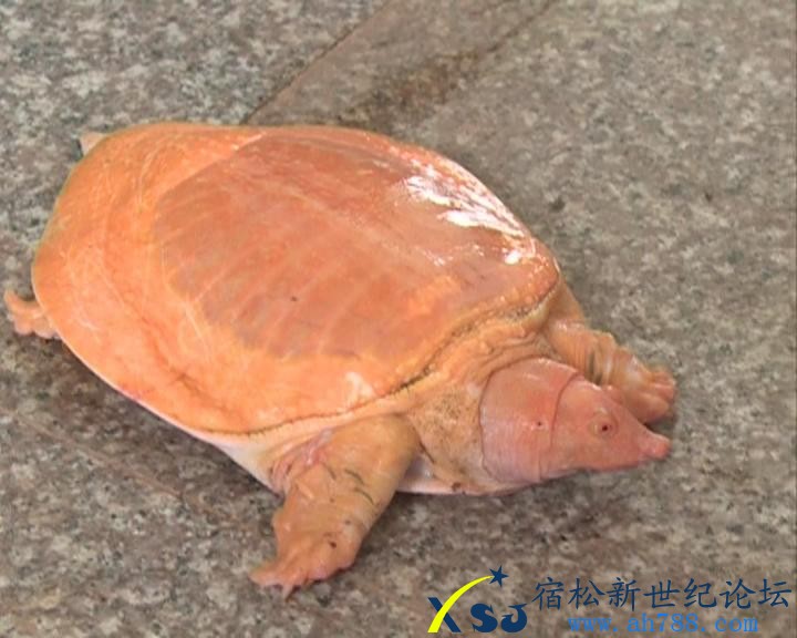 暴风截图201352328734.jpg
