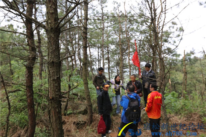宿松户外协会登严恭山，宿松新世纪论坛上传328.jpg