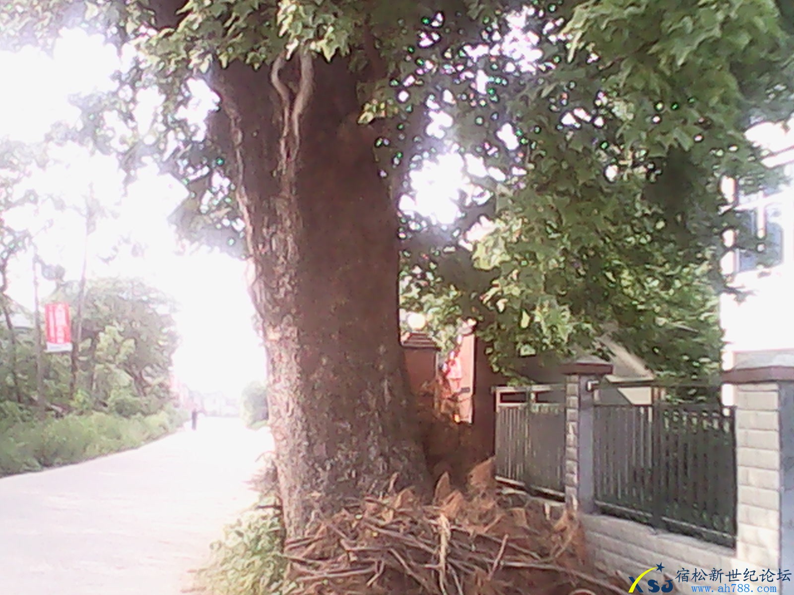 IMG_20130521_163839.jpg