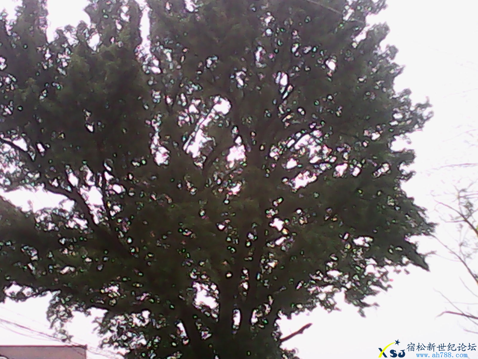 IMG_20130525_085831.jpg