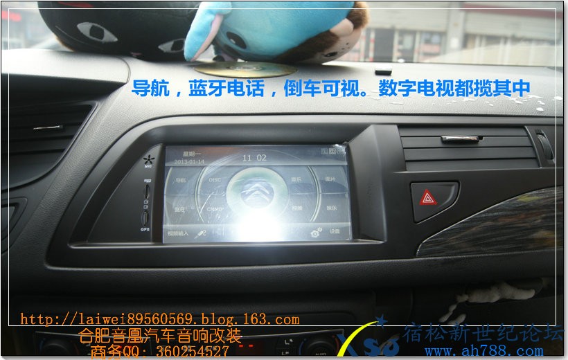 DSC08115.jpg
