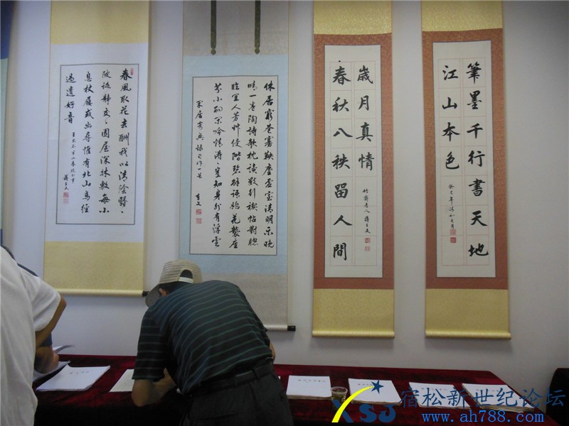 宿松蒋在文书法作品展，宿松新世纪论坛摄上传05.jpg