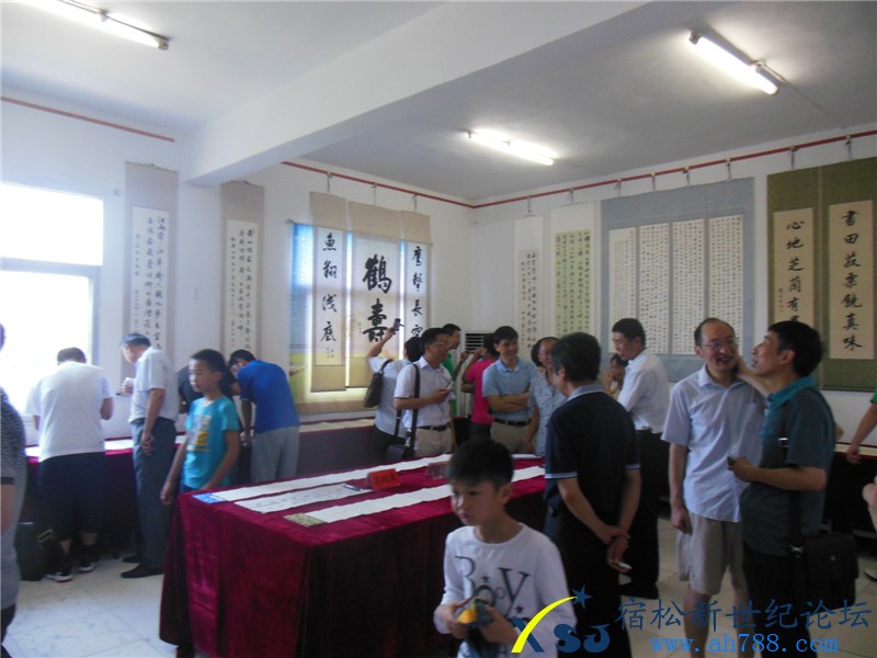 宿松蒋在文书法作品展，宿松新世纪论坛摄上传07.jpg