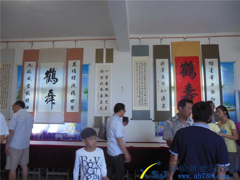 宿松蒋在文书法作品展，宿松新世纪论坛摄上传09.jpg