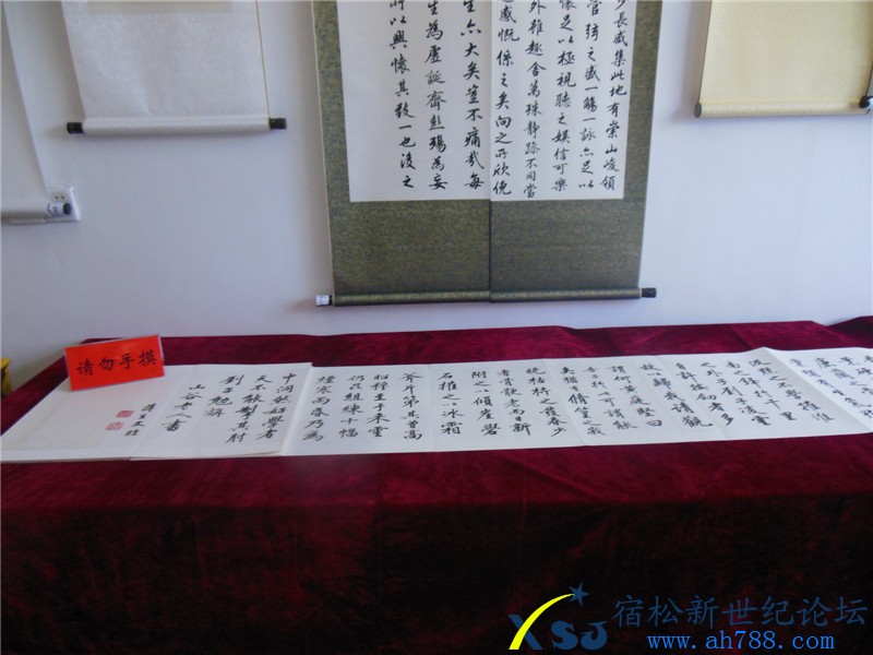 宿松蒋在文书法作品展，宿松新世纪论坛摄上传12.jpg