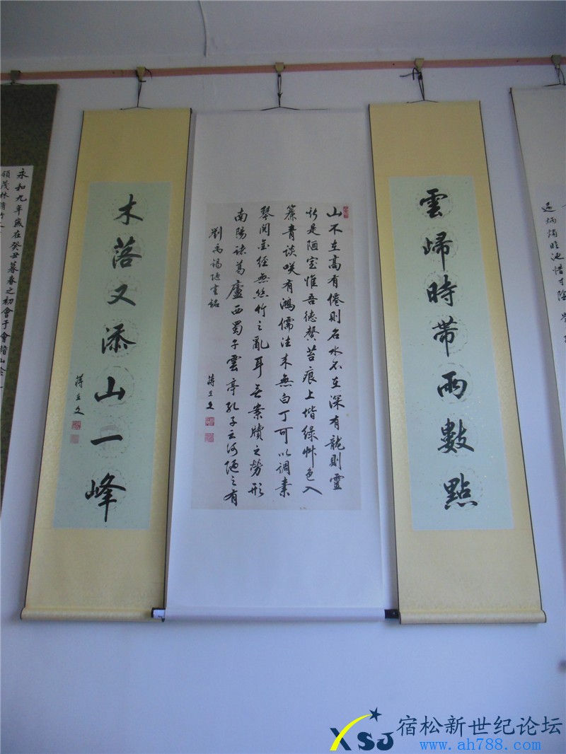 宿松蒋在文书法作品展，宿松新世纪论坛摄上传13.jpg
