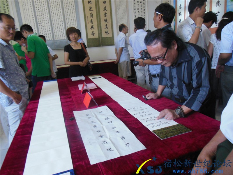 宿松蒋在文书法作品展，宿松新世纪论坛摄上传20.jpg