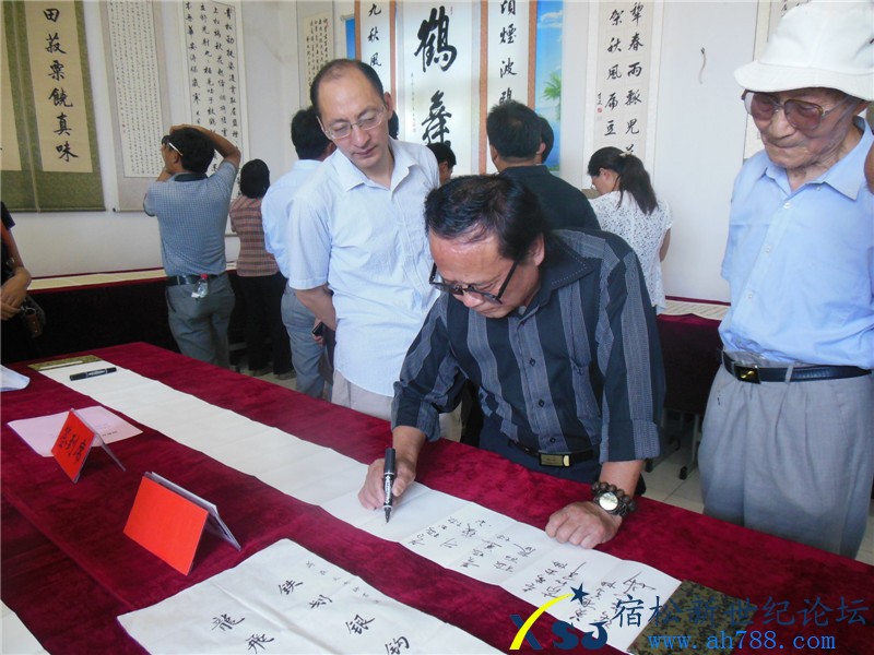 宿松蒋在文书法作品展，宿松新世纪论坛摄上传23.jpg