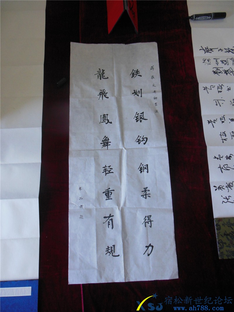 宿松蒋在文书法作品展，宿松新世纪论坛摄上传26.jpg