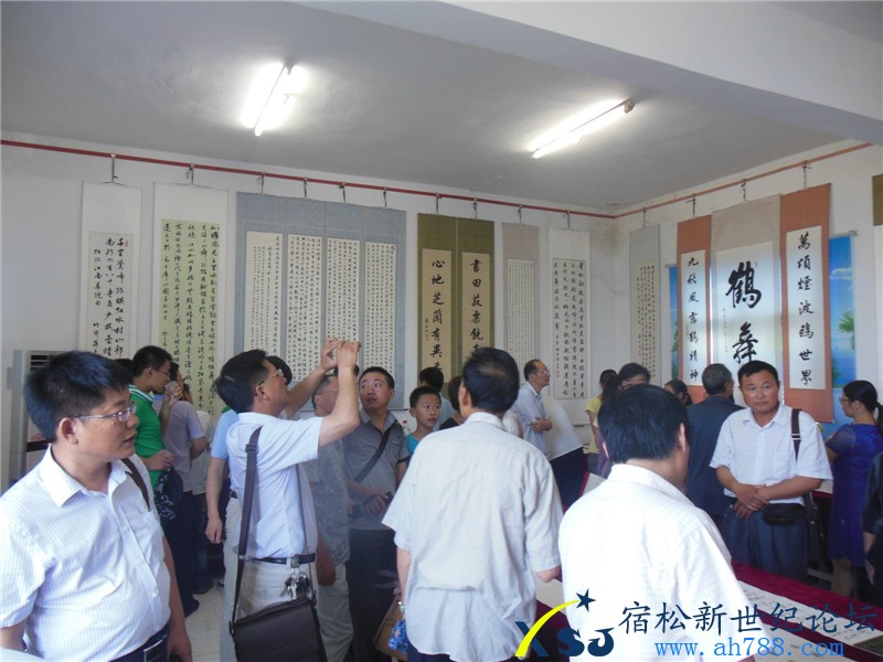 宿松蒋在文书法作品展，宿松新世纪论坛摄上传28.jpg
