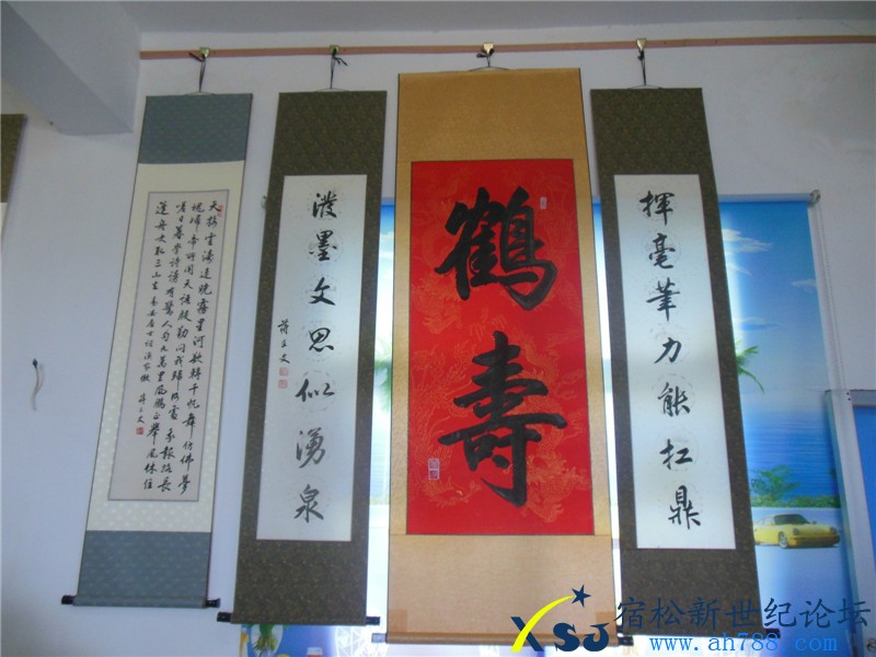 宿松蒋在文书法作品展，宿松新世纪论坛摄上传31.jpg
