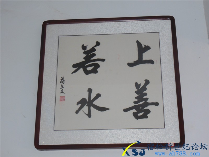 宿松蒋在文书法作品展，宿松新世纪论坛摄上传34.jpg