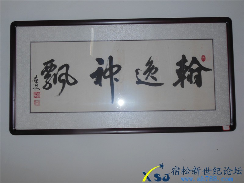 宿松蒋在文书法作品展，宿松新世纪论坛摄上传42.jpg