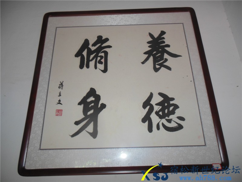 宿松蒋在文书法作品展，宿松新世纪论坛摄上传43.jpg