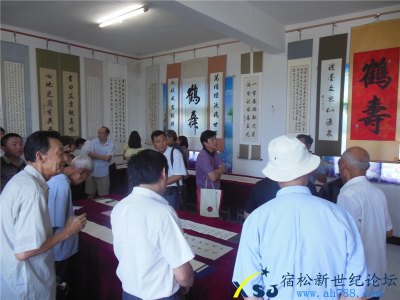 宿松蒋在文书法作品展，宿松新世纪论坛摄上传29.jpg