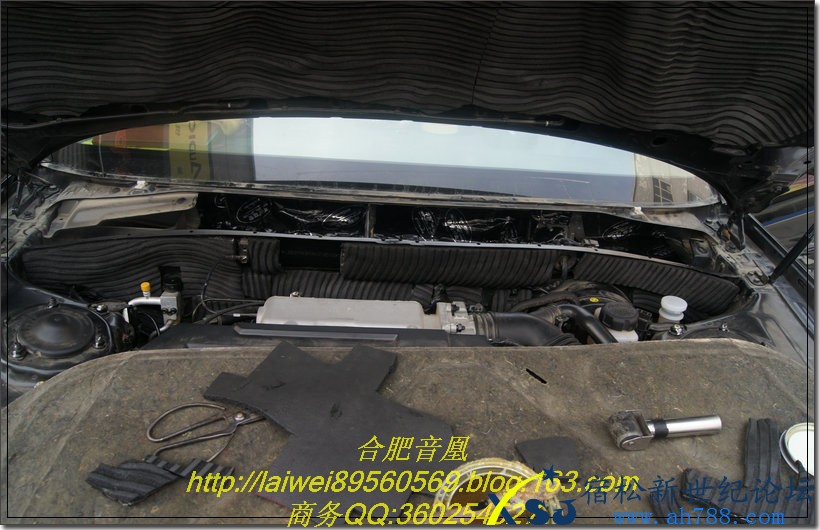DSC01137.jpg