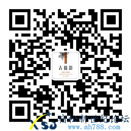 qrcode_for_gh_e9a747636282_430.jpg