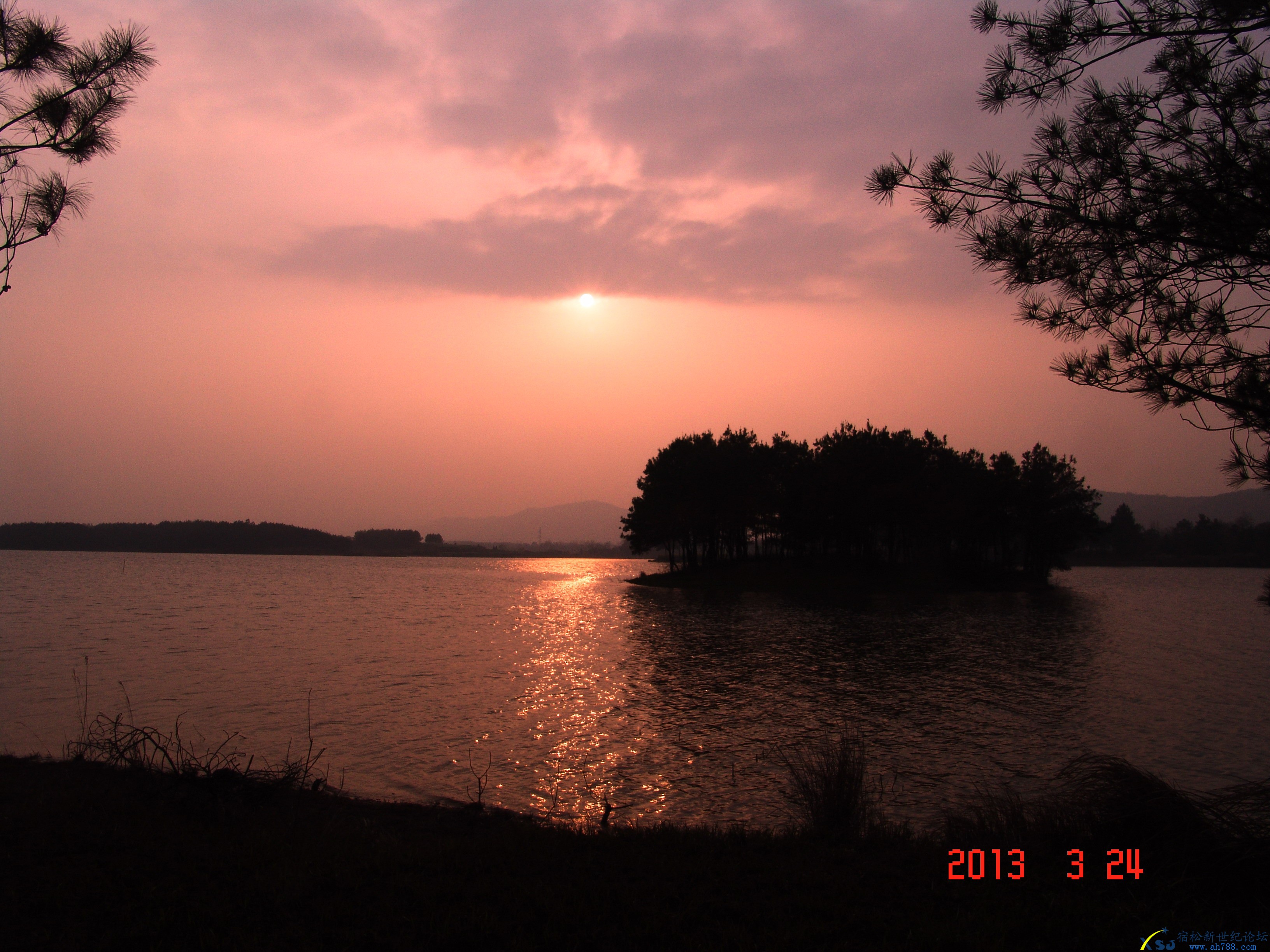 DSC04030.jpg