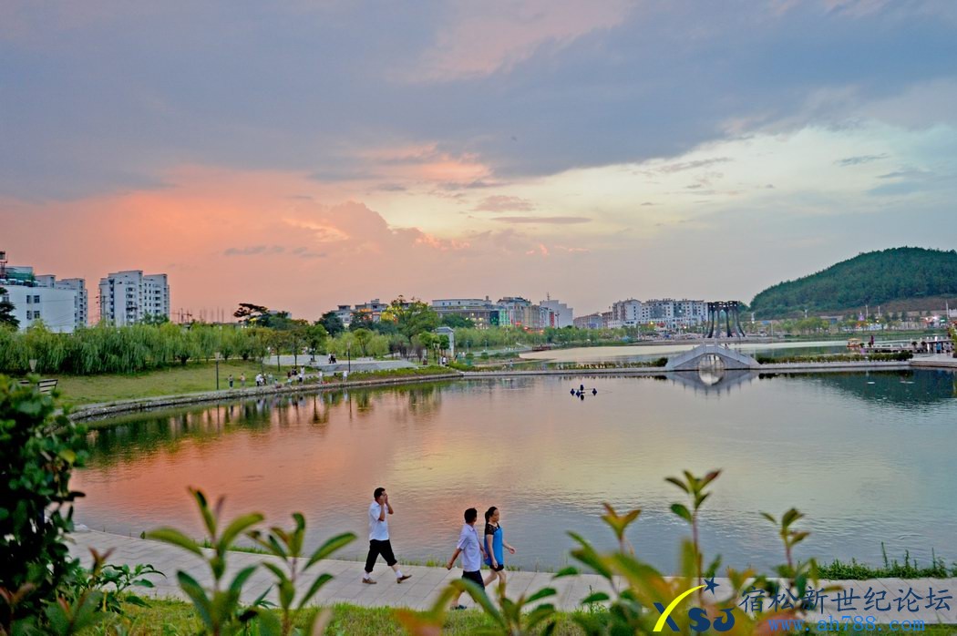 中焦摄 (1).JPG