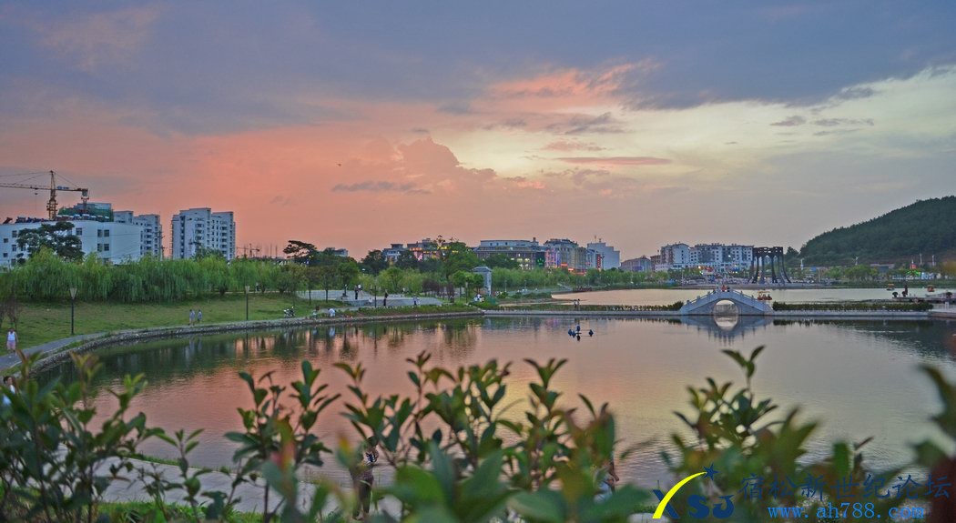 中焦摄 (4).JPG