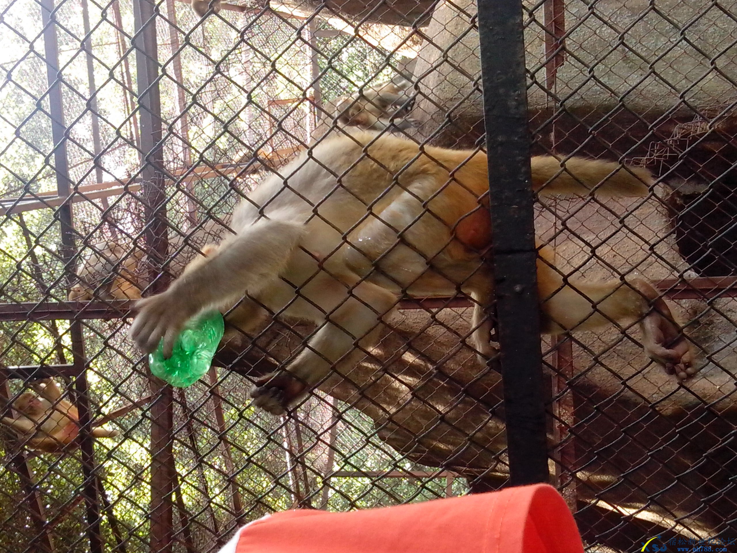 IMG_20130801_110758.jpg