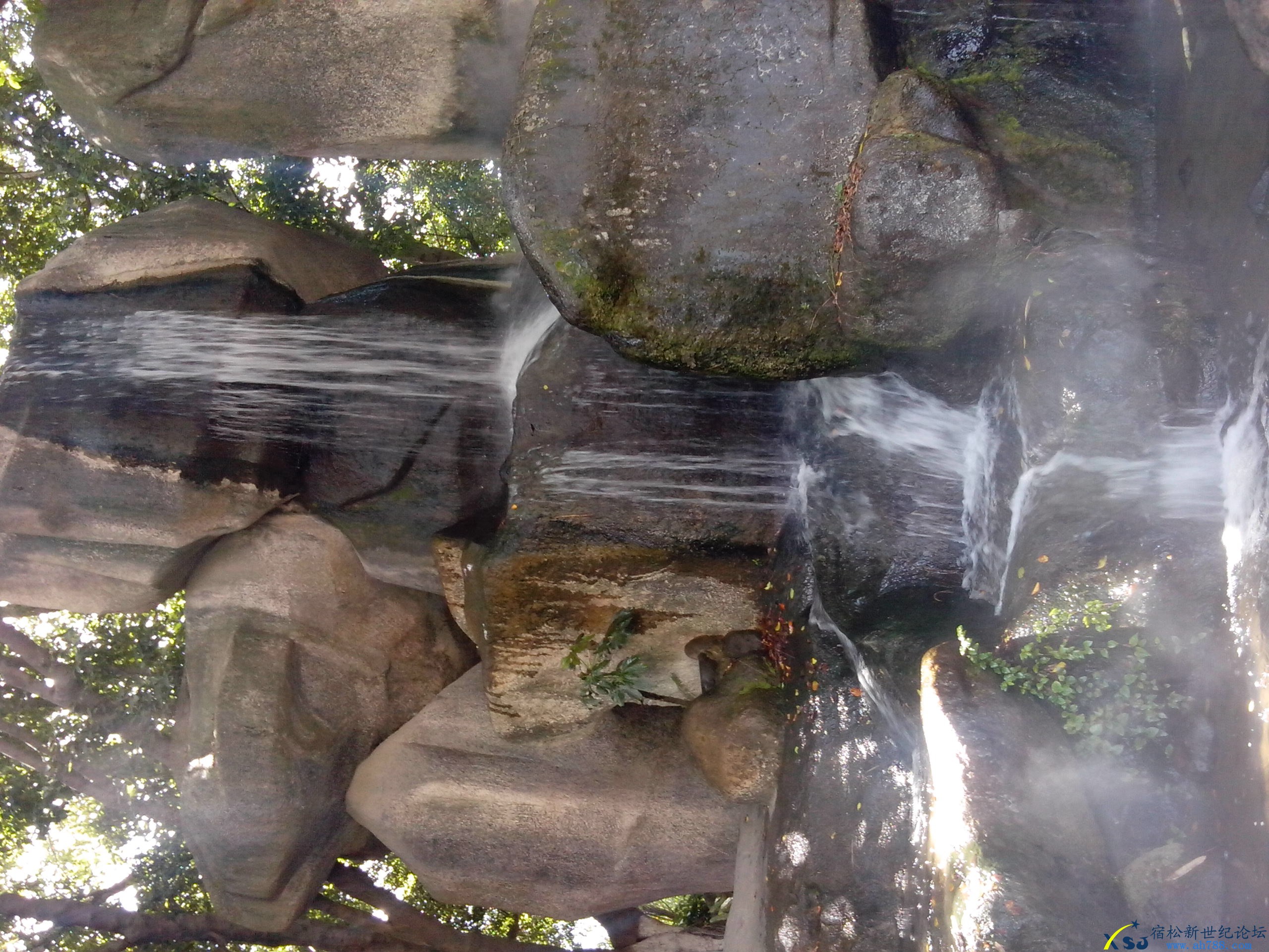 IMG_20130801_102234.jpg