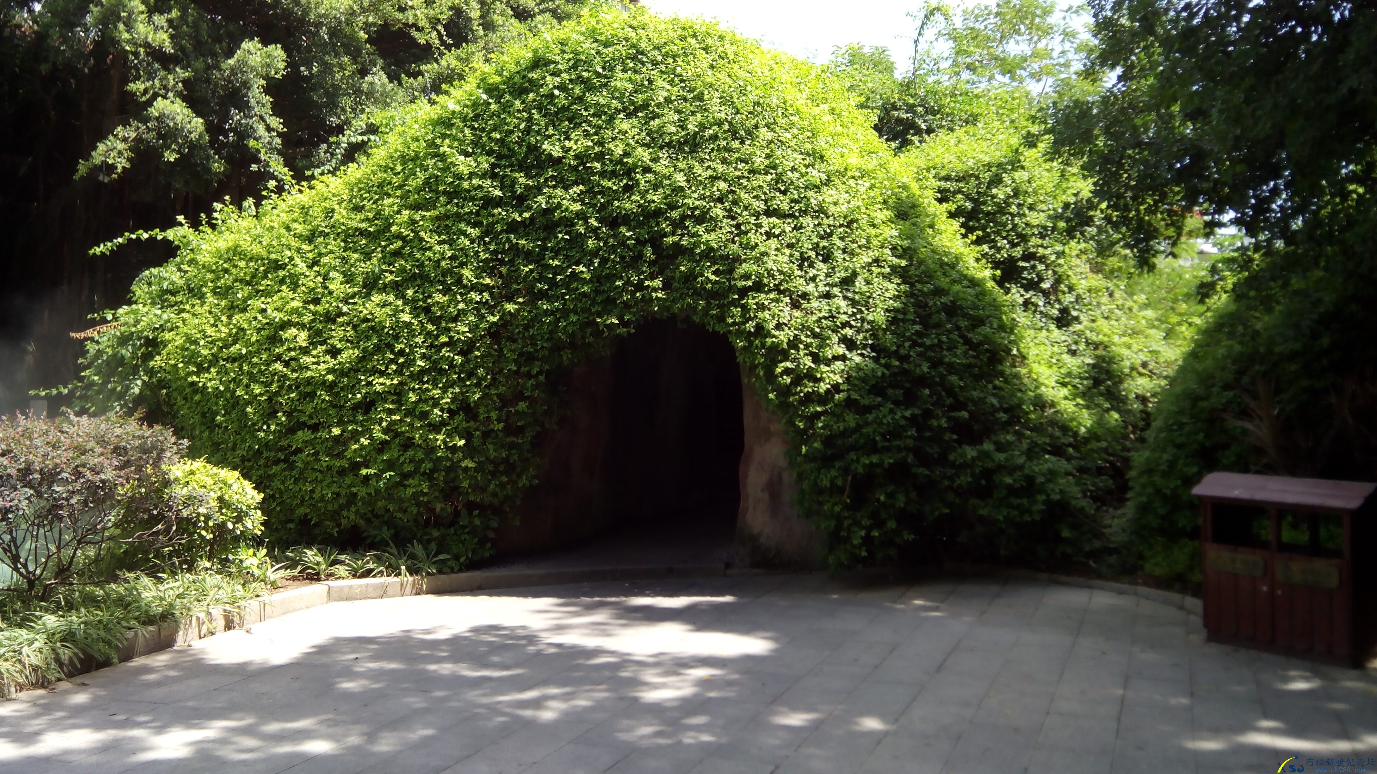 IMG_20130801_102321_conew1.jpg