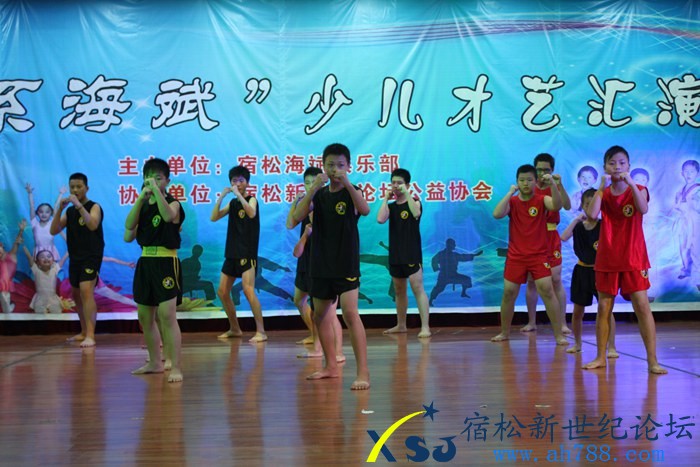 宿松新世纪论坛摄10.jpg