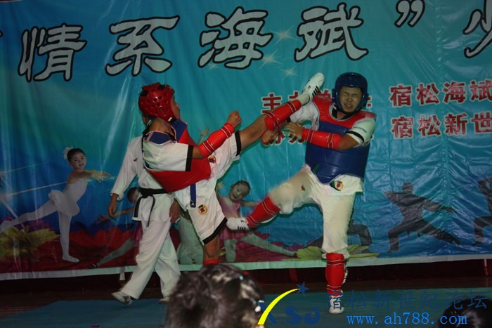 宿松新世纪论坛摄14.jpg