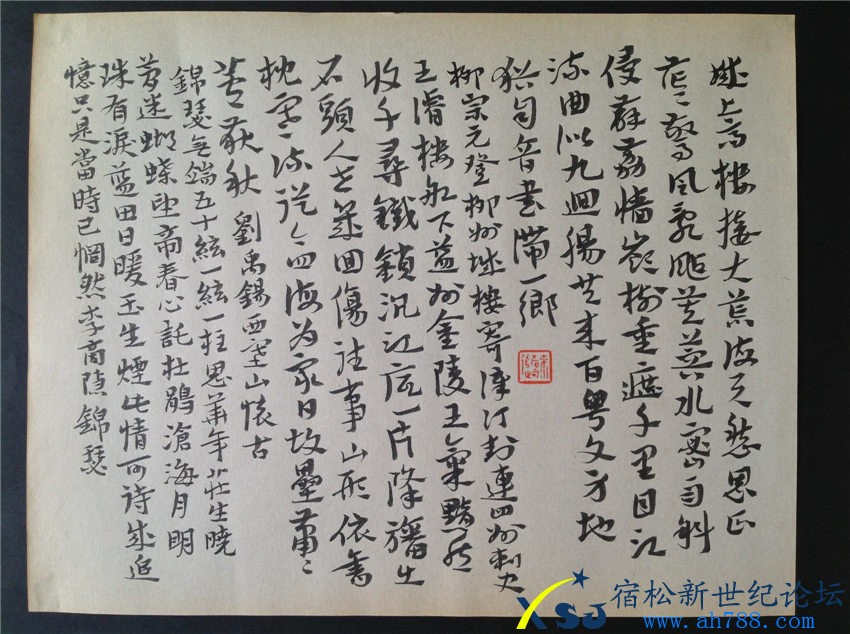 ，陈伟书法，宿松新世纪论坛上传；IMG_4557.jpg