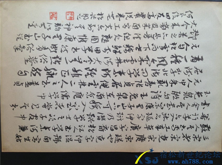IM，陈伟书法，宿松新世纪论坛上传；G_4454.jpg