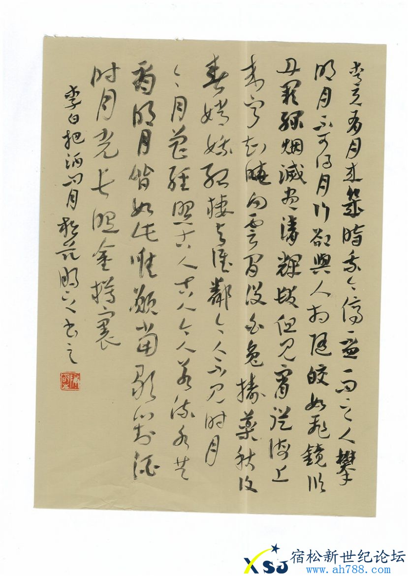 img-108093848-000，陈伟书法，宿松新世纪论坛上传；8.jpg