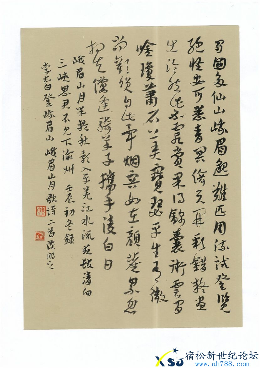 img-108093848-0，陈伟书法，宿松新世纪论坛上传；010.jpg