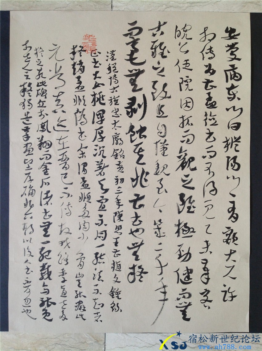 IMG_3988，陈伟书法，宿松新世纪论坛上传；.jpg