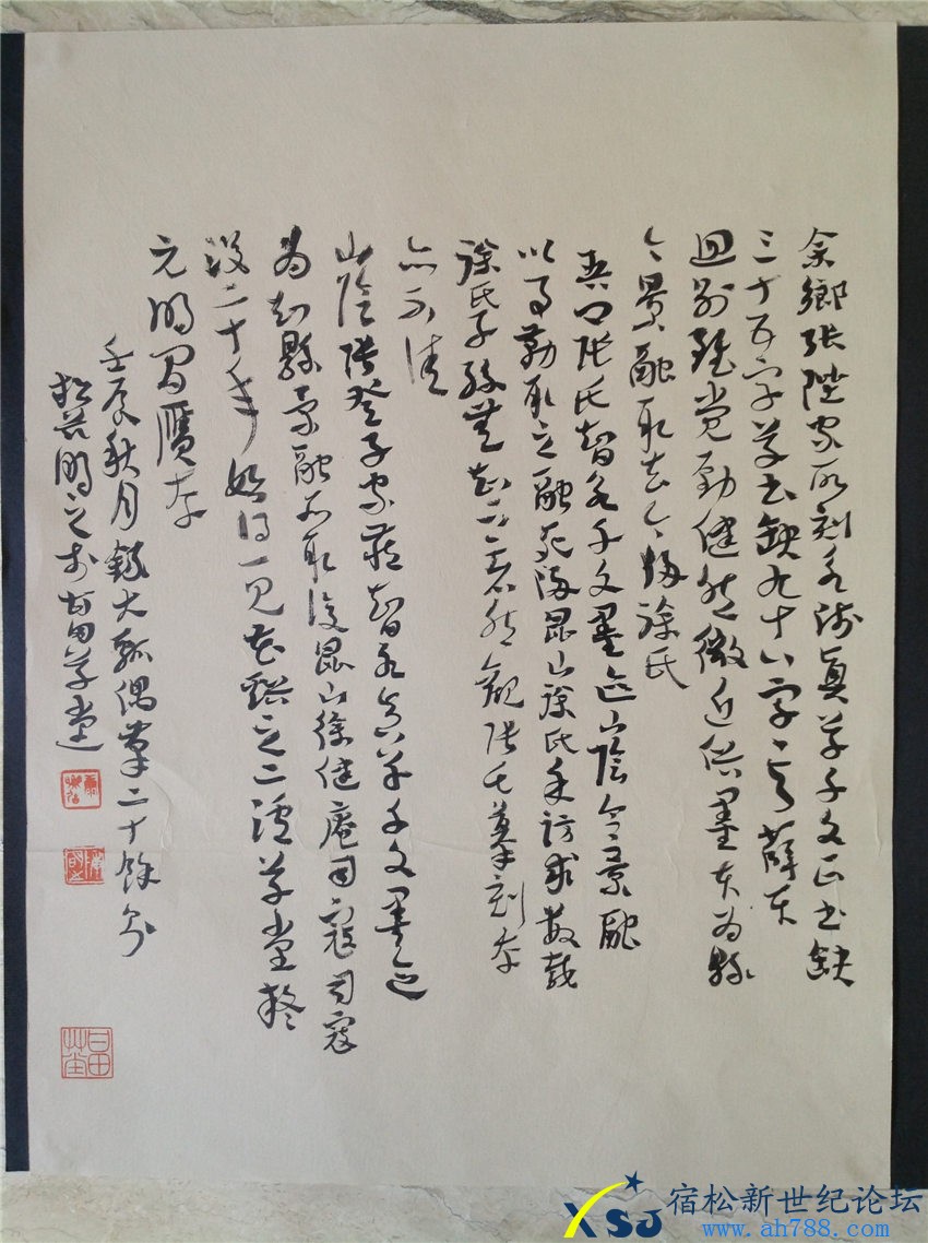 IMG_3991，陈伟书法，宿松新世纪论坛上传；.jpg