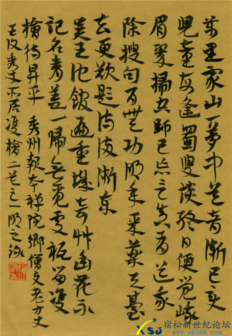 王复秀才所居、双桥二首之一 18X26，陈伟书法，宿松新世纪论坛上传；.jpg