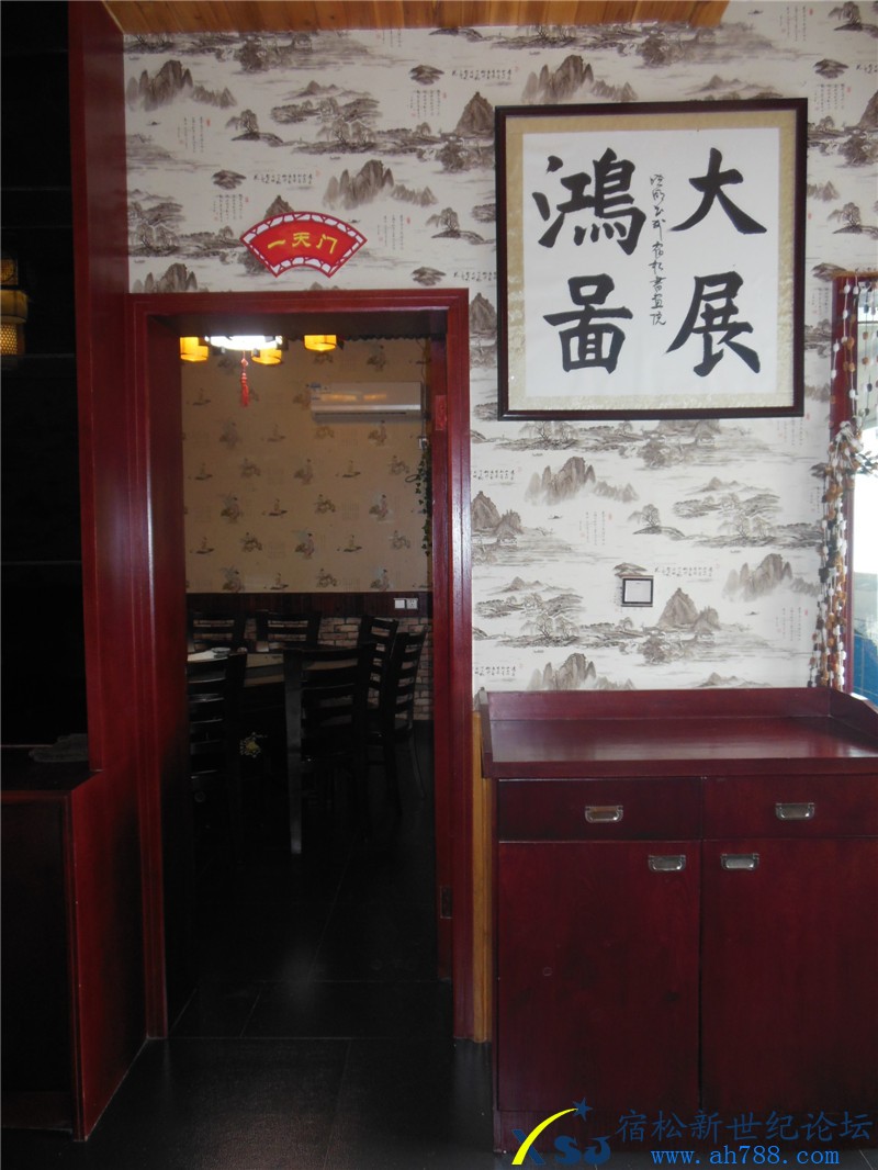 宿松乡之味，宿松新世纪论坛摄09.jpg