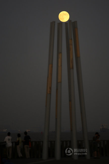 7509725_980x1200_0.jpg