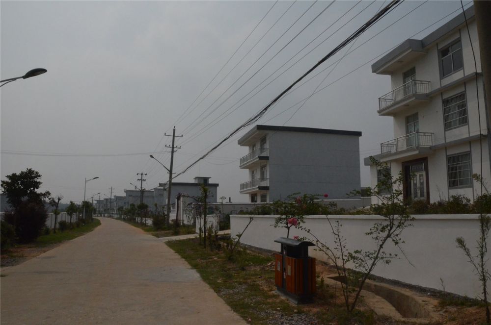 如画乡村看白马，宿松新世纪论坛上传www.susong1.com06.jpg