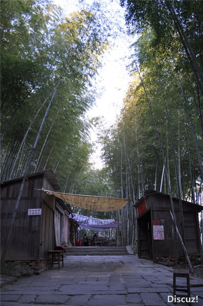 宿松新世纪论坛上传，www.susong1.com 走进五祖21.jpg