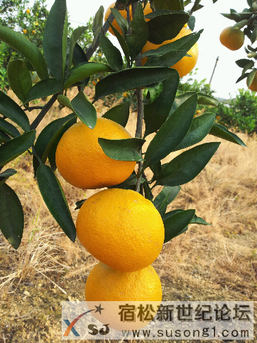 20131103_152151.jpg