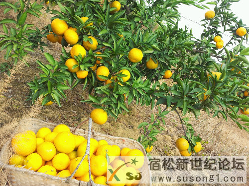 20131103_150744.jpg