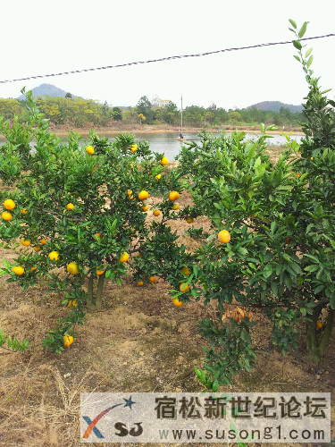 20131103_150839.jpg