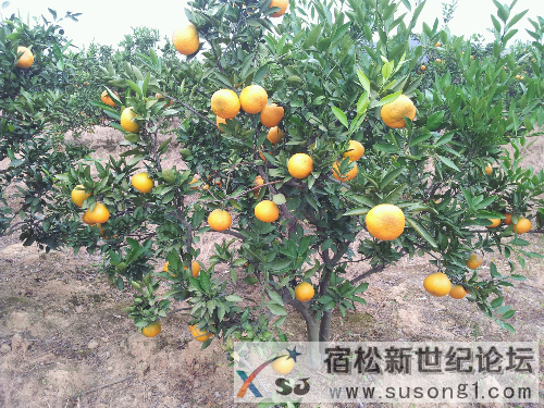 20131103_141051.jpg