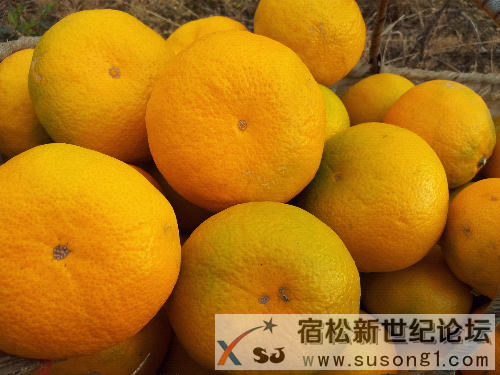 20131103_152115.jpg