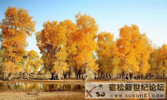 稻城亚丁