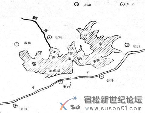 图片13232.jpg